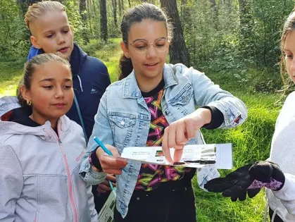 Leerlingen onderzoeken buiten in het bos